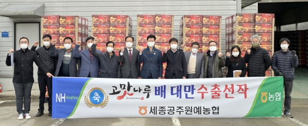 세종공주원예농협에서 ‘고맛나루 배’의 대만 수출을 위한 공동선별과 선적 실시 모습
