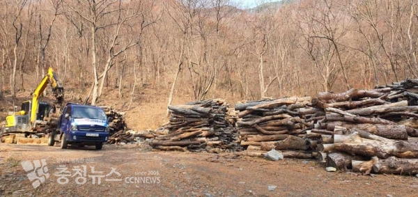 사랑의 땔감 나누기