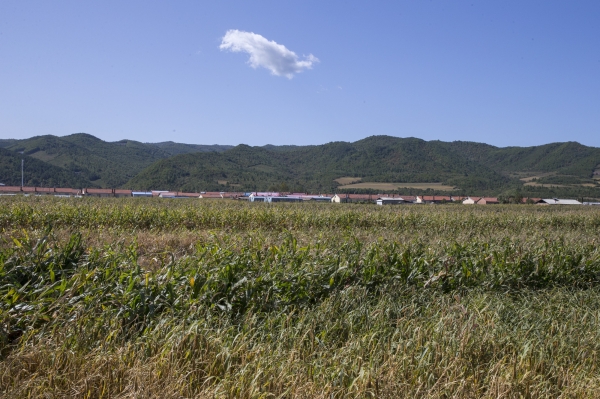 중국 길림성 왕칭현 나자거우(羅子溝) 대전학교 터