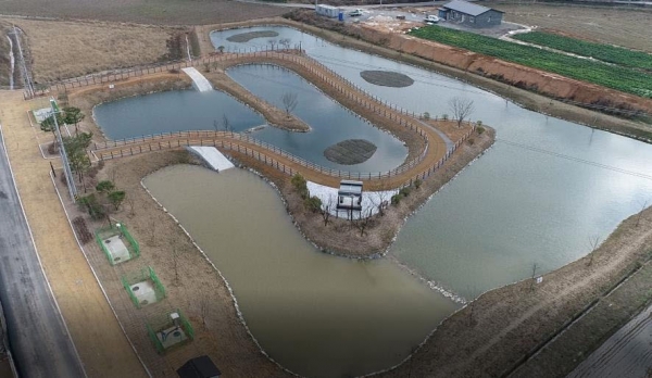 석우천 생태습지 사진