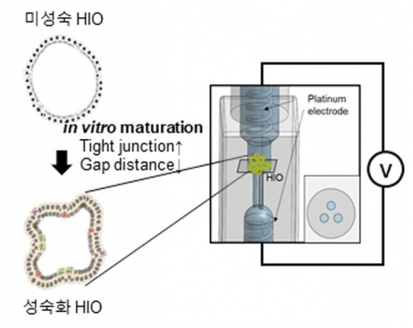 멀티채널 기반 임피던스 측정시스템