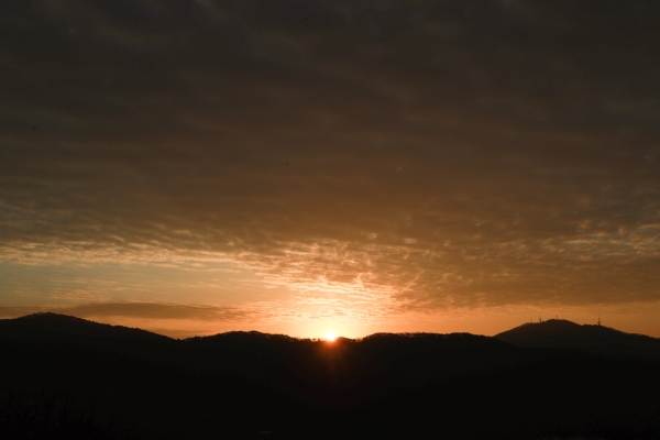 태조산 해맞이 전경