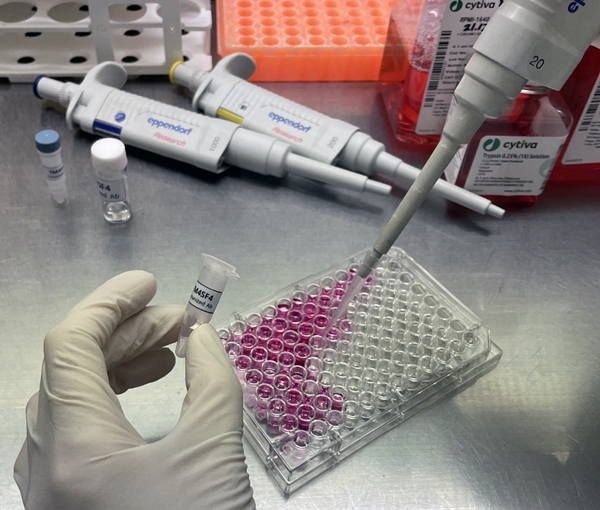 한국원자력연구원 연구진이 ‘TM4SF4 항체항암제 후보물질’을 암세포배양액에 처리하고 있다