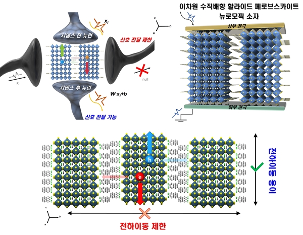 뉴로모픽 소자 구조 및 동작 원리