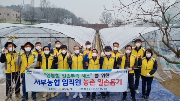 16일, 임헌성 조합장등 서구 월평동 농가를 찾아 겨울철 일손돕기 모습