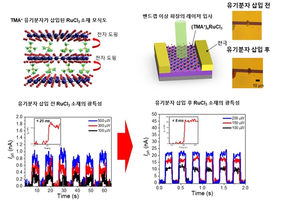 2차원 층상 모트 절연체에 유기분자 삽입을 통한 근적외선 광검출 소자 개발 연구설명