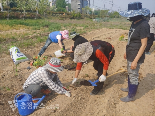 홍성군 청년농업인 영농체험