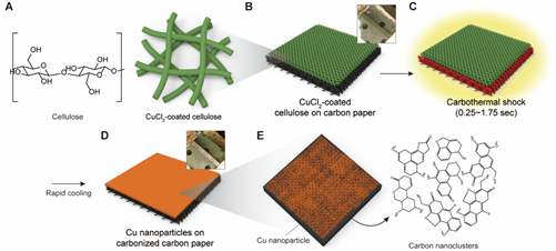 셀룰로오스를 활용한 고밀도 금속 나노입자 제조과정 모식도