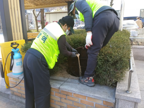 동절기 모기 유충구제 방역활동 모습