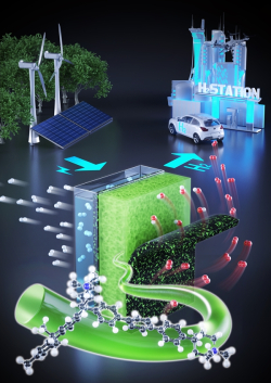 재생에너지로 부터 전기를 공급받아 그린수소를 생산하는 세계 최고성능 및 고내구성 차세대 음이온교환막 수전해 장치 모식도