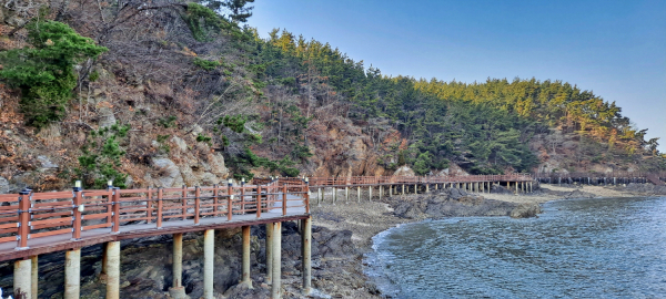 태안 코리아둘레길 (솔향기길)