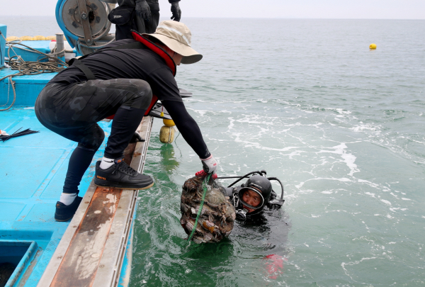2020년 6월 근흥면 황골항 꽃게 산란장 조성 모습.
