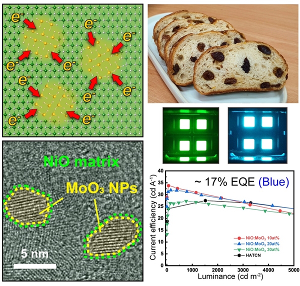 건포도 빵 구조의 산화니켈, 산화 몰리브덴 전하 전달 복합체 및 소자 성능 / KAIST 제공