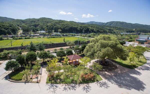 복지시설나눔숲(강원 철원, 문혜장애인요양원)