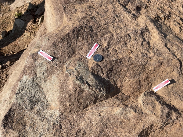 부여 세도면 공룡알 화석