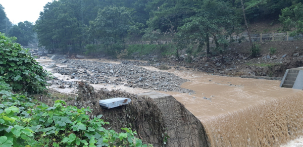 집중호우시 사방댐에 차단된 토속류/예산군 제공