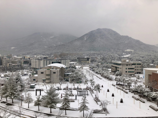 2021 한밭대 캠퍼스 사진 공모전_최우수상 수상작(캠퍼스의 아름다운 설경)