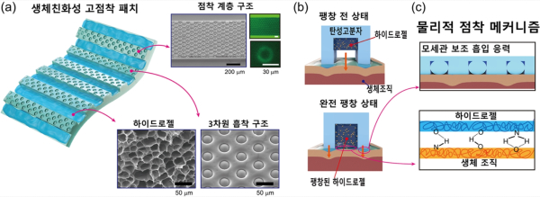 청정부착이 가능한 생체친화성 전자 패치 개념도