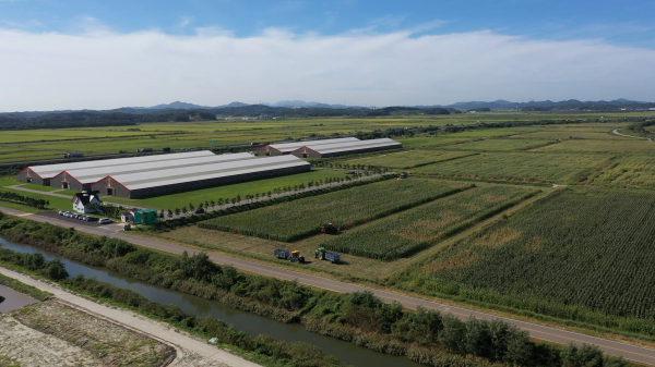 육성우목장 모습