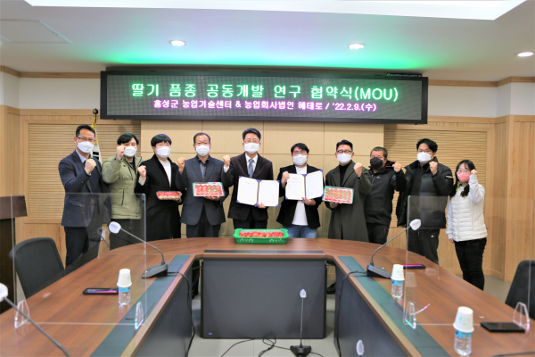 홍성군과 농업사회법인 헤테로가 딸기 신품종 개발을 위한 공동 연구개발 업무협약을 체결했다/홍성군 제공