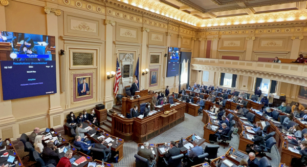 버지니아 주 김치의 날 제정 결의 본회의 현장   * 제정 결의안을 대표 발의한 아린 신(Irene Shin) 하원의원(화면)