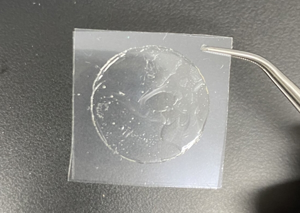 한국원자력연구원이 ‘구강점막 부착형 약물전달체’를 개발했다.