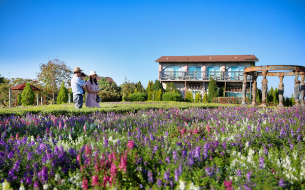 태안군 남면에 위치한 ‘팜카밀레’ 모습.