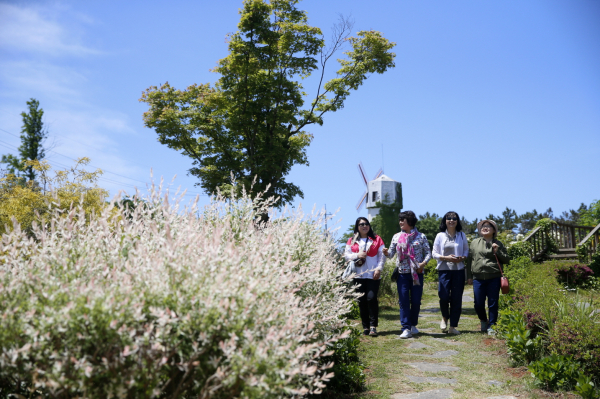 태안군 남면에 위치한 ‘팜카밀레’ 모습.