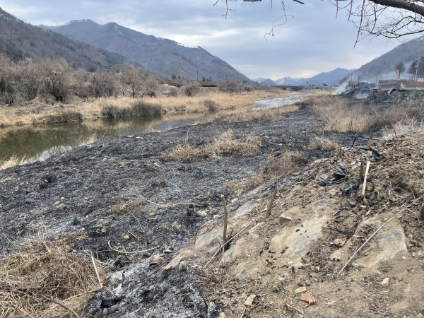 들불화재/충남소방본부 제공