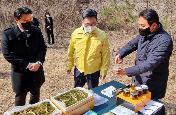 한국청년임업회 산양삼 재배지 방문 현장 사진 * 한국농수산식품유통공사 김춘진 사장(가운데)