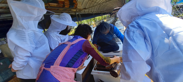 지난해 진행한 도시민 체험양봉장 참여 모습