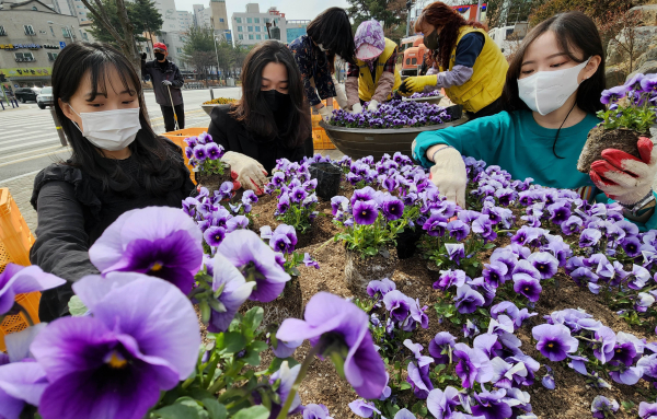 봄꽃 식재 모습