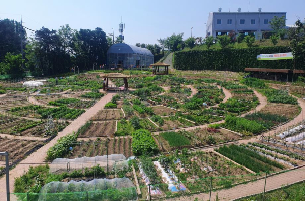 대전농기센터 케어팜