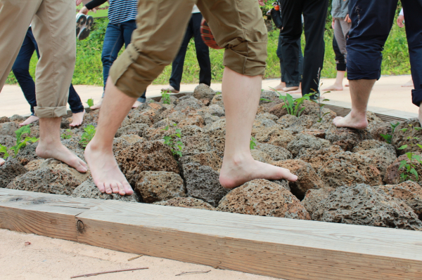 산림휴양·복지활동 체험