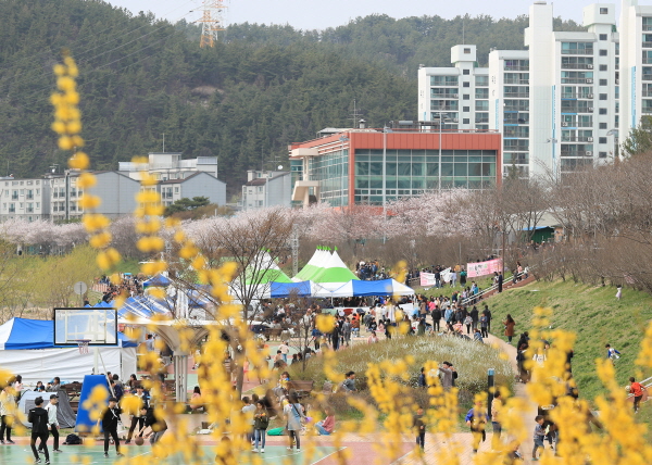 지난 2019년 정림동 벚꽃축제 개최 사진