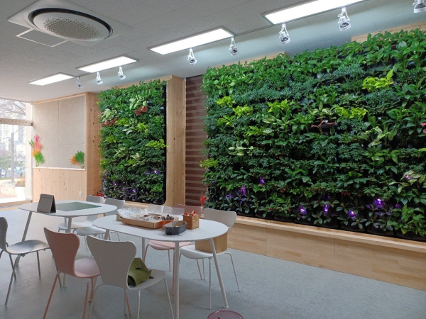 서대전광장 숲체험센터 시범운영 실시