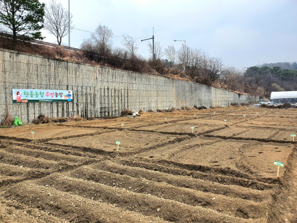탄동농협, 지역민과 함께하는 주말농장 개장