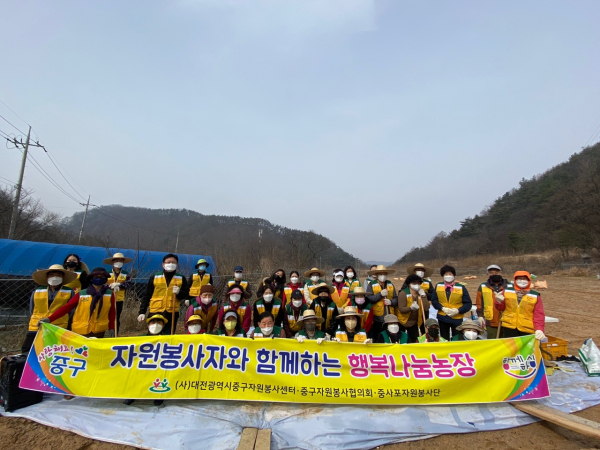 지난 25일 금동 행복나눔농장에서 열린 씨감자를 심고 있는 자원봉사 활동 모습