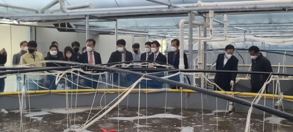 문성혁 해양수산부 장관, 당진 친환경 온배수 양식장을 둘러보고 있는 모습