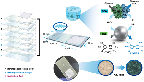 당 분석 디바이스 구성 및 분석원리