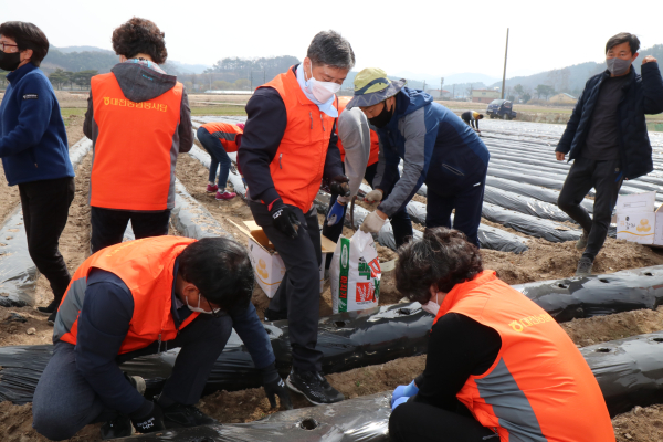 풍년농사 기원 일손돕기 실시