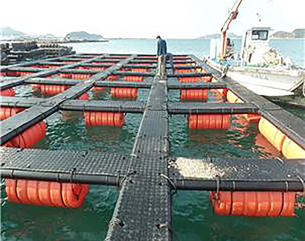 친환경 부표 설치 모습.