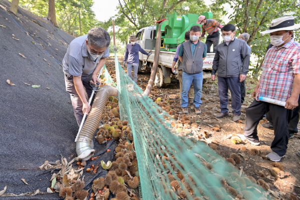 밤 수집기 시연회 모습