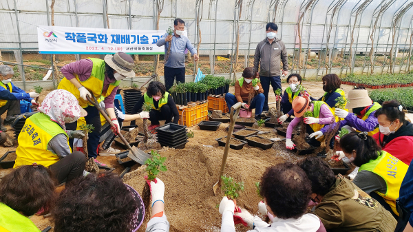지난 12일 서산국화축제장에서 열린 작품국화 재배기술 교육 모습