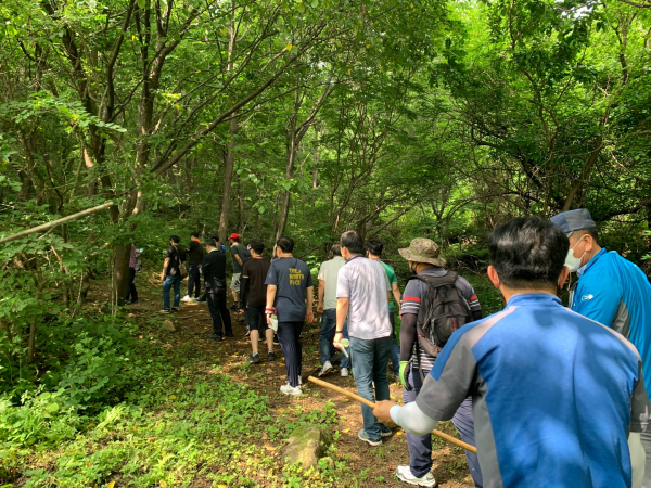 국립산림치유원 산림치유프로그램(숲체험).