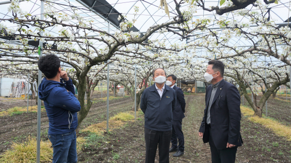 대전원예농협 고품질 농산물 생산을 위해 2년차 입증실험을 충남대학교와 함께 시범포장 운영