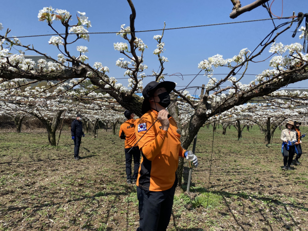 화접 봉사활동 장면