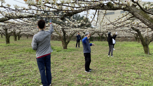 배꽃 화접 봉사활동 장면