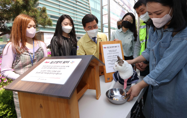 길고양이 쉼터 모습