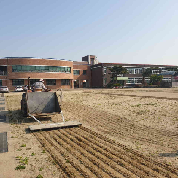 학교 운동장 환경 개선 장면